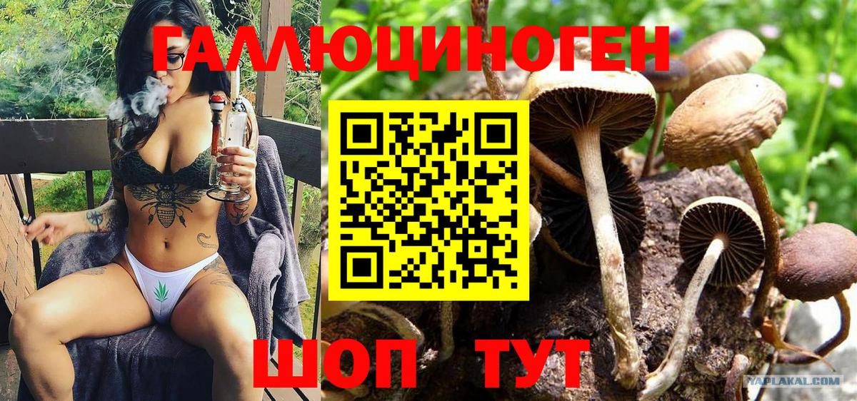 Миллерово  Псилоцибиновые грибы MAGIC MUSHROOMS  Галлюциногенные грибы MAGIC MUSHROOMS  Вход с VPN 